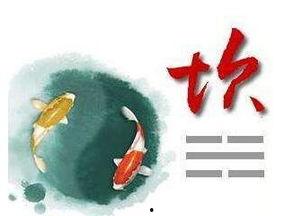 身体部位代表的八卦,揭秘身体部位与八卦的神秘联系